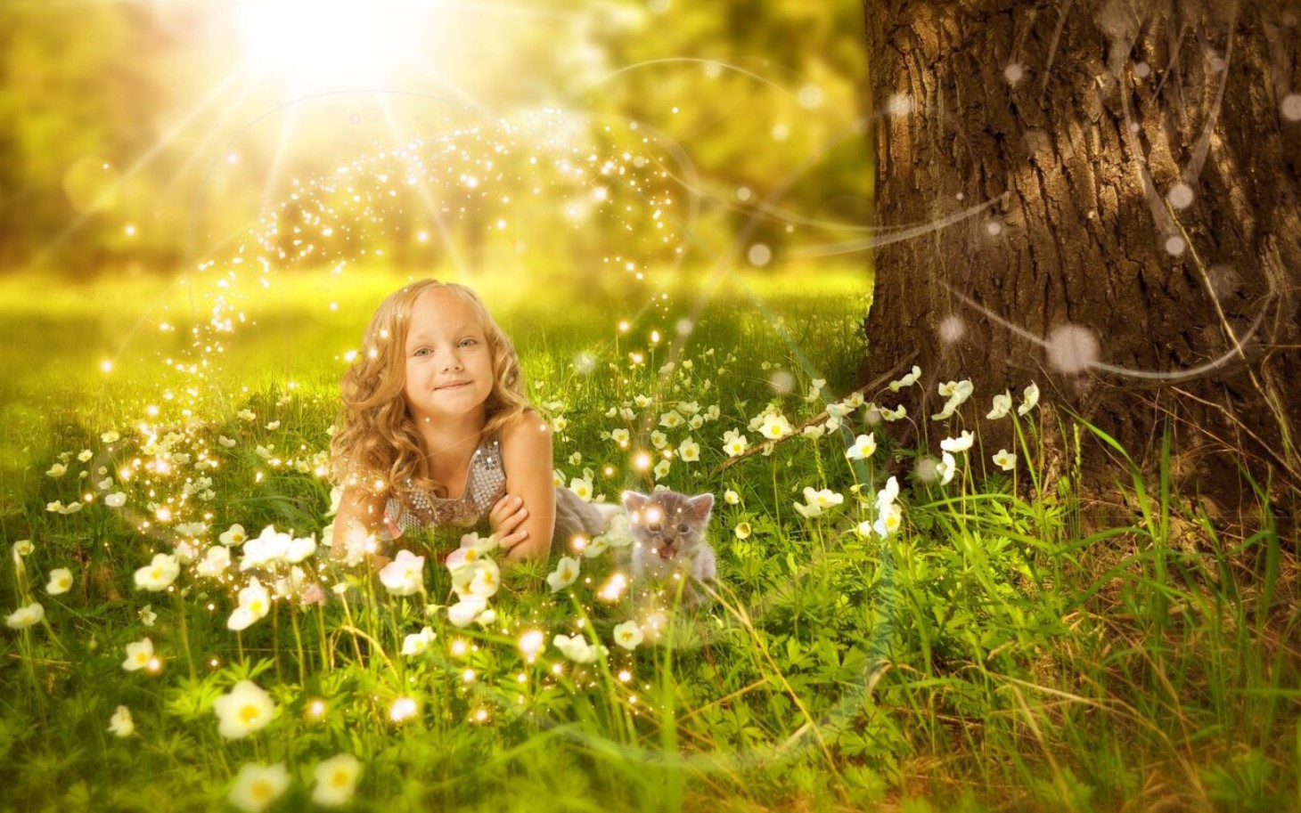 vitamin d excess noh