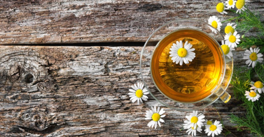 chamomile oil gmi