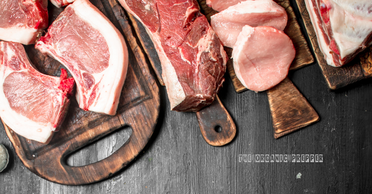 fake-meat-fails