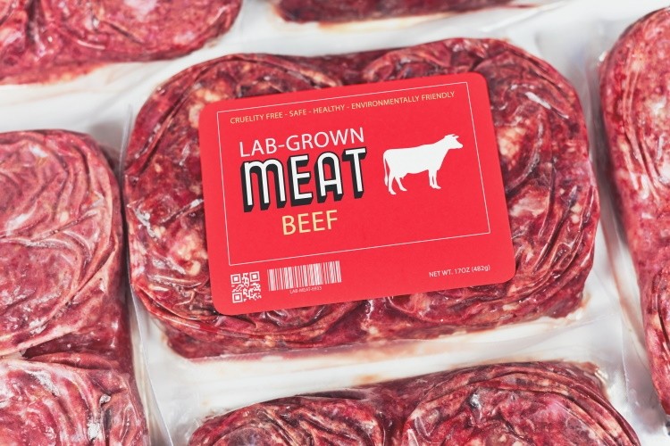 Desperate Lab-Grown Meat Industry Claims It Needs Government Subsidies to Survive Desperate Lab-Grown Meat Industry Claims It Needs Government Subsidies to Survive
