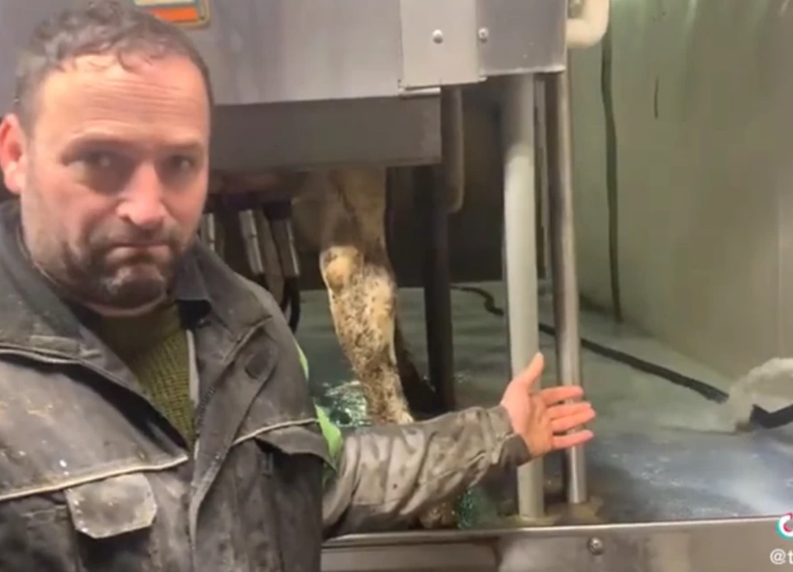 farmer milk