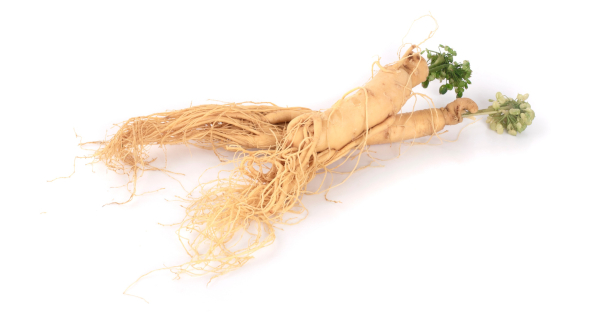 Ginseng-Provides_Natural_Help_for_Health_Loss-GreenMedInfo