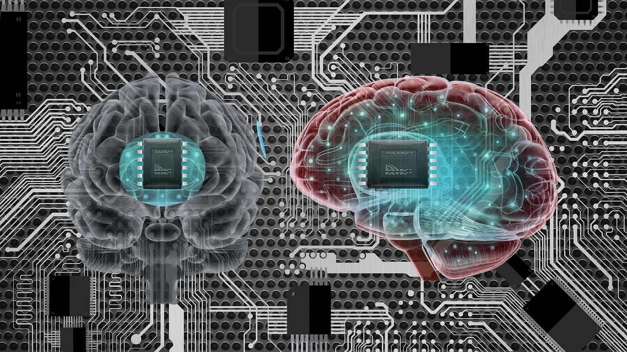 brain-7121056_1280