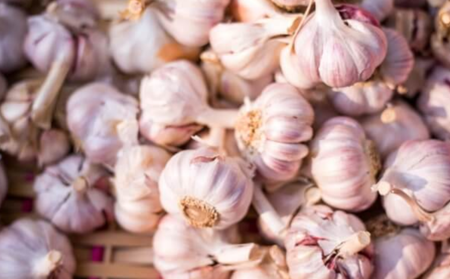 garlic unsplash
