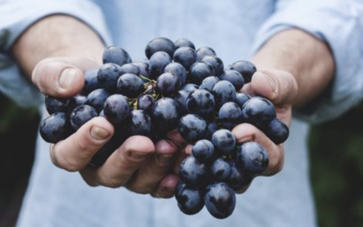 grapes eye health