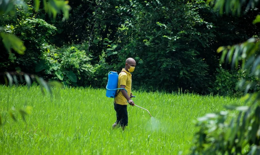 pesticides pexels pesticides pexels