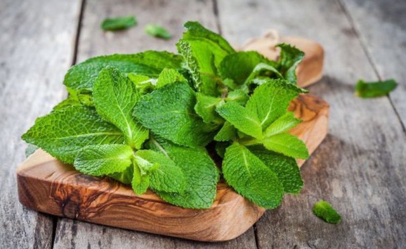 peppermint gmi