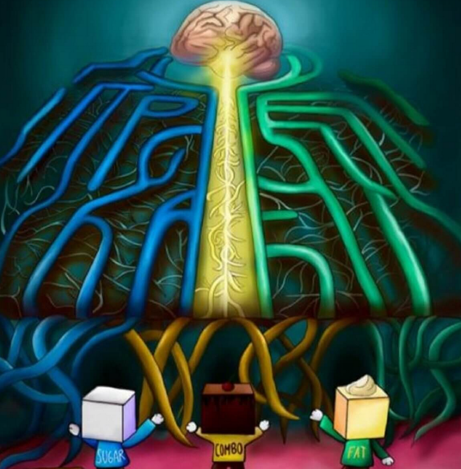 brain gut