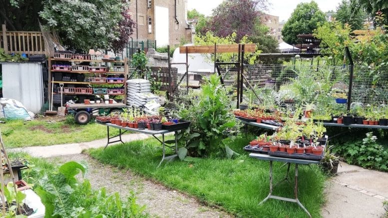 food-from-urban-agriculture-has-carbon-footprint-6-times-larger-than-conventional-produce-study-shows-Panel-D-UK-community-garden92-777x437 food-from-urban-agriculture-has-carbon-footprint-6-times-larger-than-conventional-produce-study-shows-Panel-D-UK-community-garden92-777x437