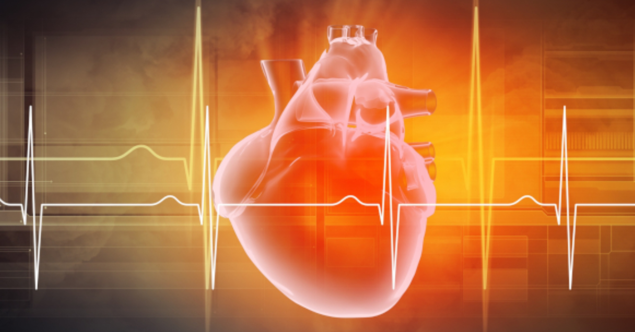 nanoplastics heart