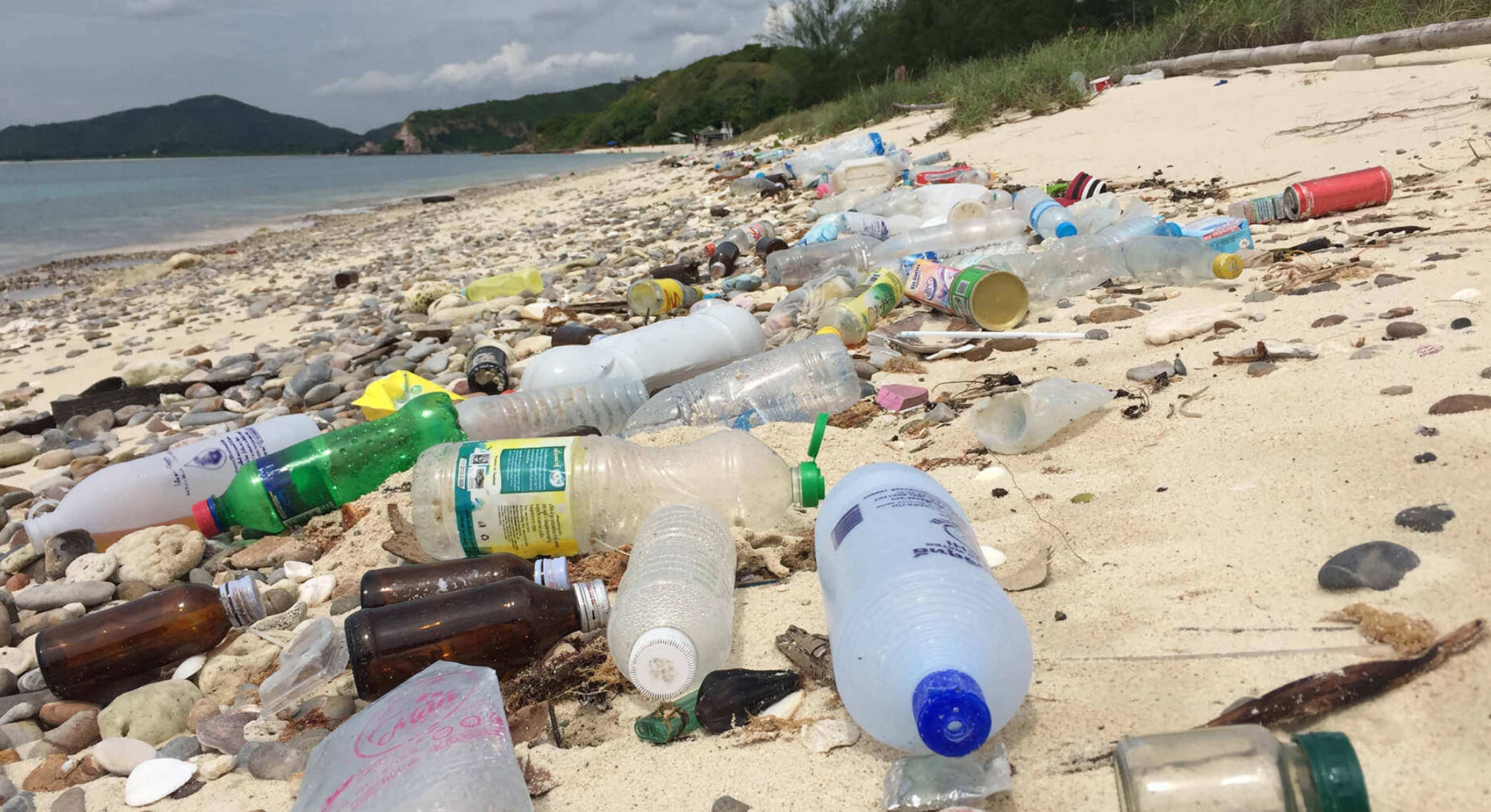 plastic pollution sf plastic pollution sf