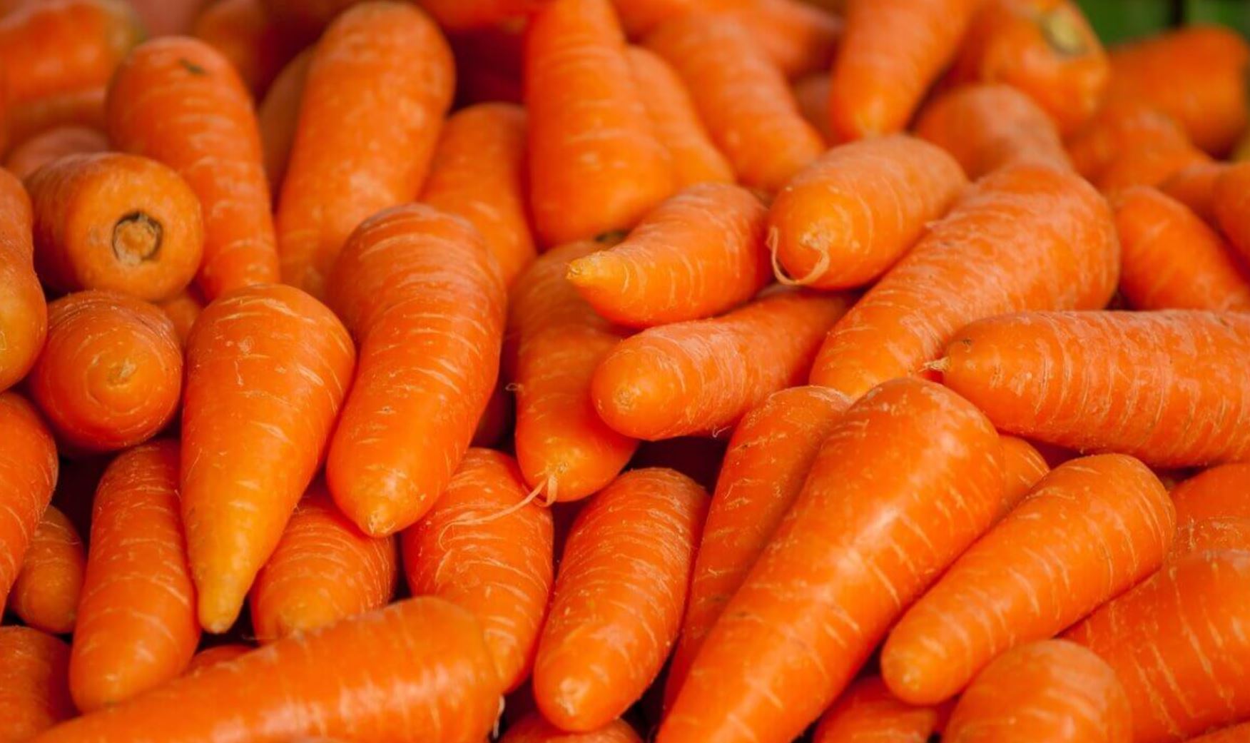 baby carrots