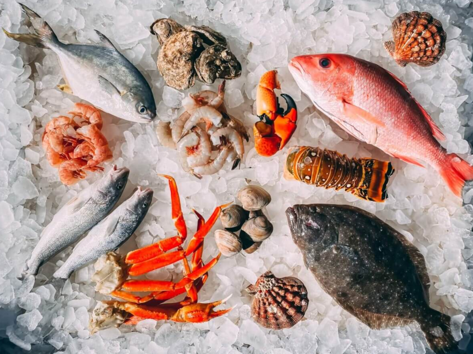 seafood mislabeled unsplash