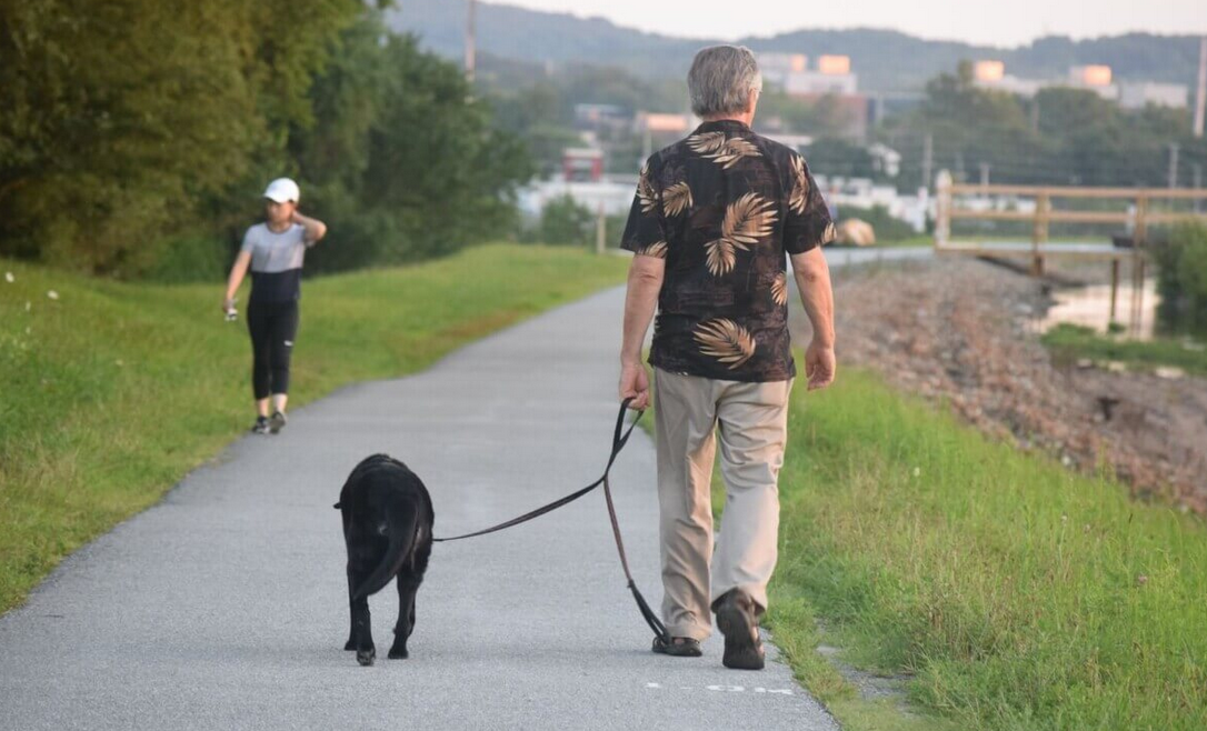 walking the dog