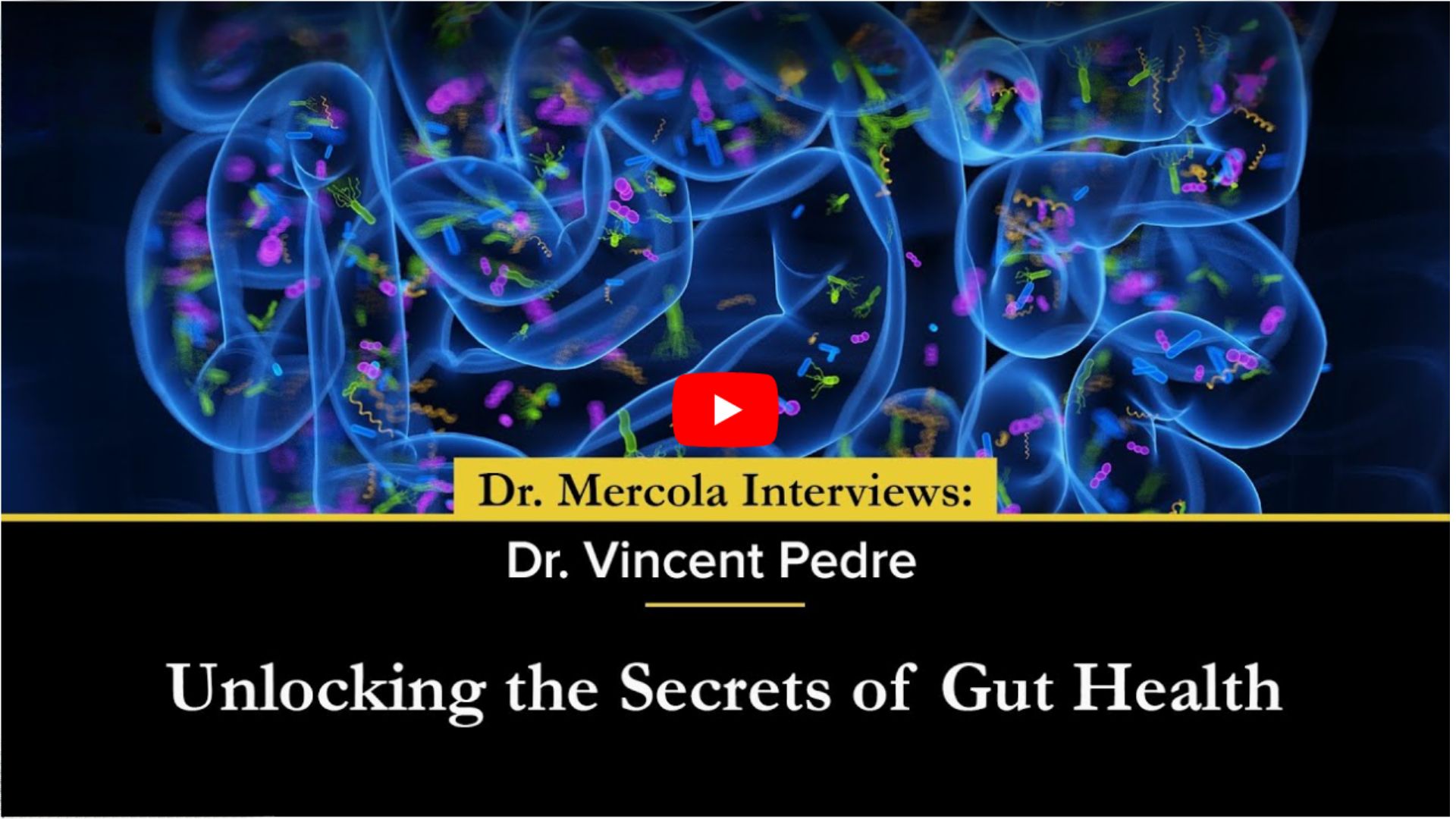 gut-health gut-health