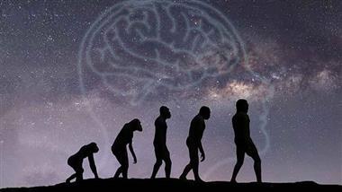 gut-microbes-primates