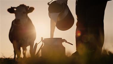 milk-rumen-protected-fats Milk fat composition