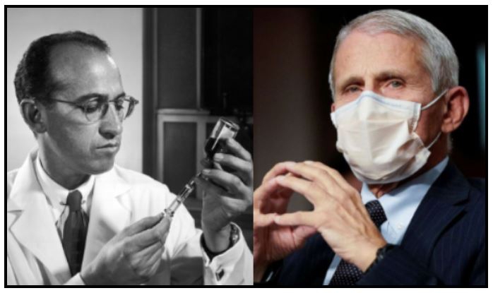 salk-fauci-stock salk-fauci-stock