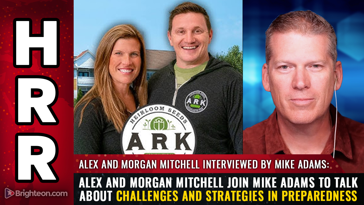2025-03-31-BBN-Interview-with-ARK 2025-03-31-BBN-Interview-with-ARK