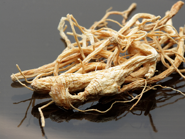 Chinese-ginseng-Panax Chinese-ginseng-Panax