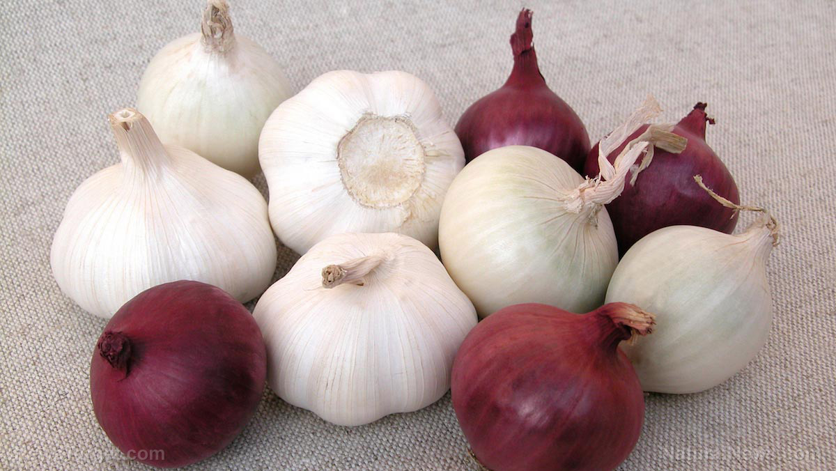 Onions-Garlic-Vegetables Onions-Garlic-Vegetables
