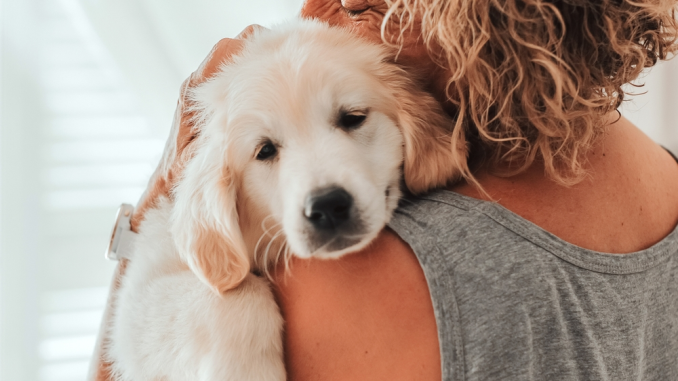 Pets-relieve-stress Pets-relieve-stress