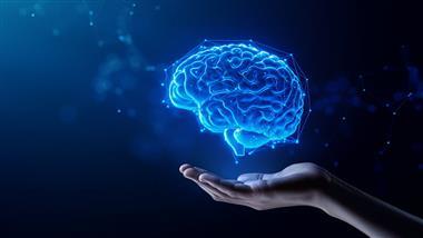 mitochondrial-dysfunction-neurodegeneration mitochondrial-dysfunction-neurodegeneration