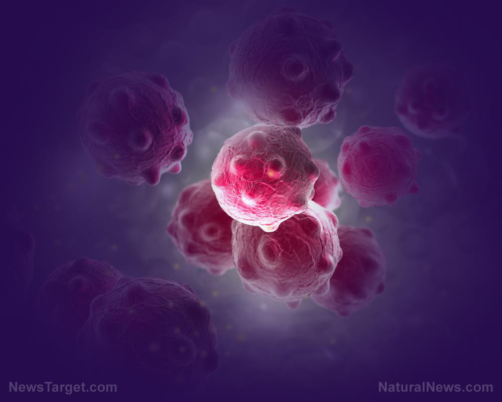 Cancer-Virus-Tumors-Cells
