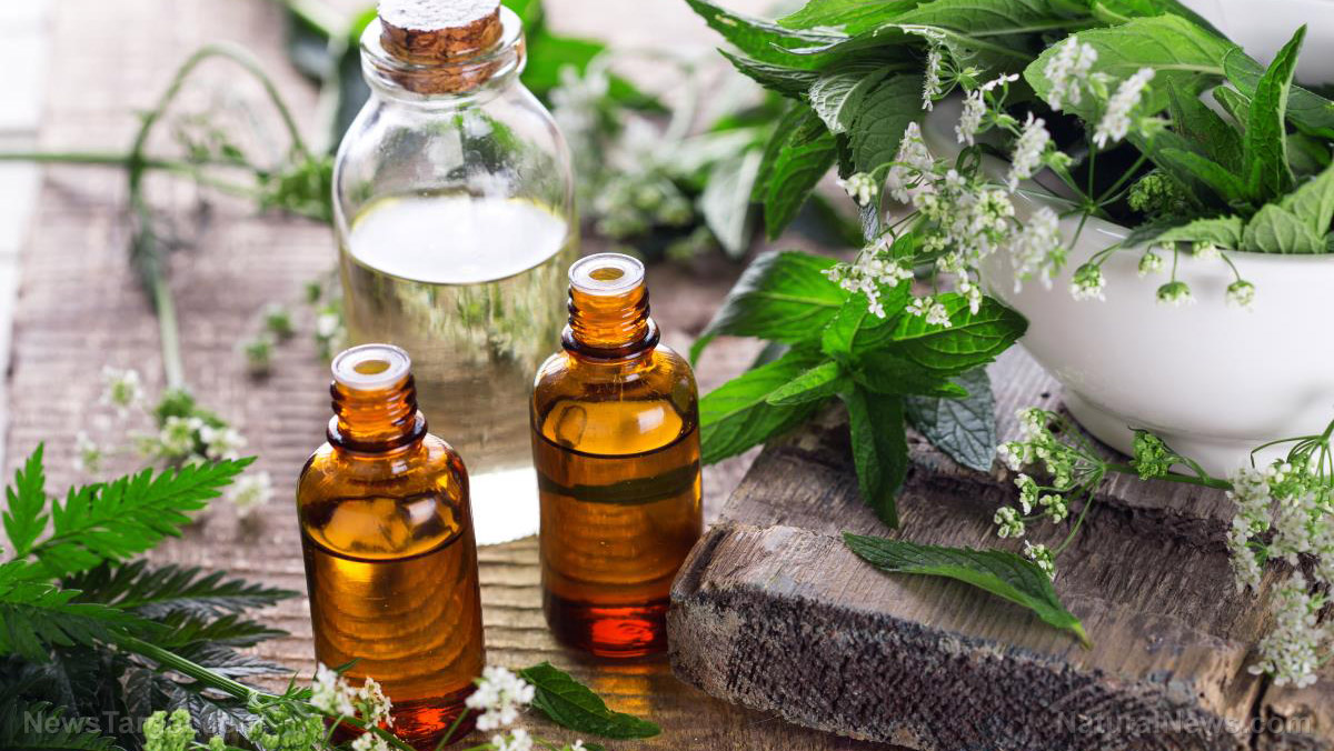 Oil-Plants Oil-Plants