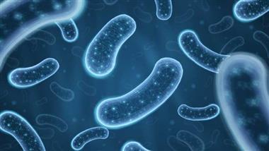 gut-microbiome-patterns-heart-attack-risk-thumbnail gut-microbiome-patterns-heart-attack-risk-thumbnail