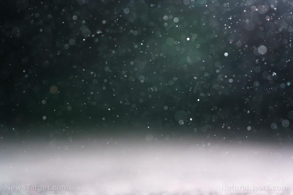 Real-Backlit-Dust-Particles-Green-Toned-Flare Real-Backlit-Dust-Particles-Green-Toned-Flare