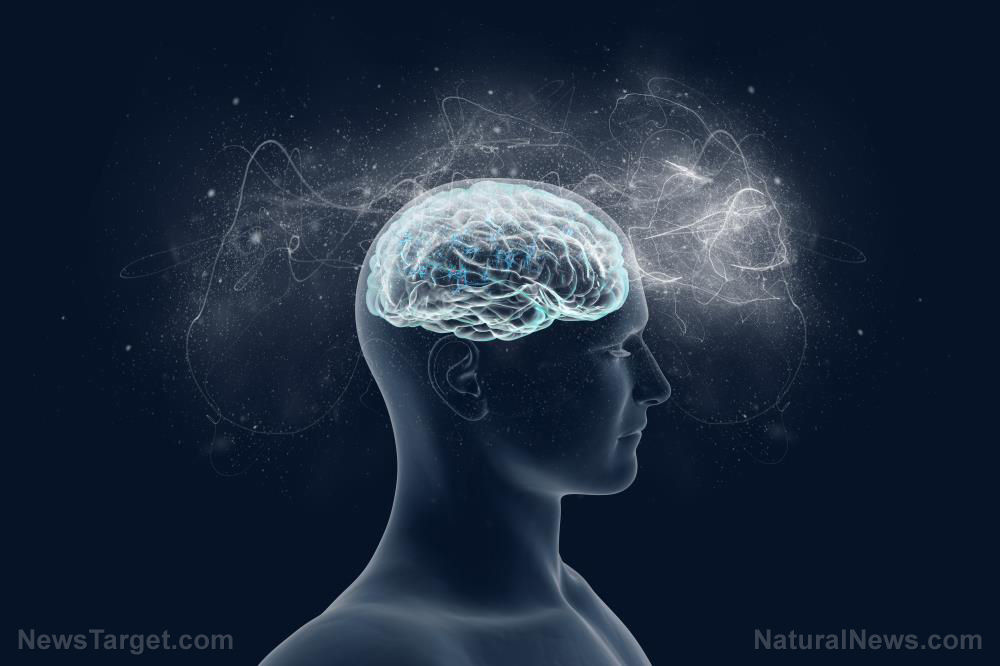 Brain-Cognition-Power-Mind-Conscious-Neuron-Energy Brain-Cognition-Power-Mind-Conscious-Neuron-Energy