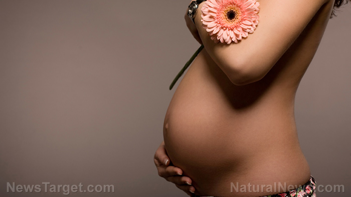 Pregnant-Woman-Pregnancy Pregnant-Woman-Pregnancy