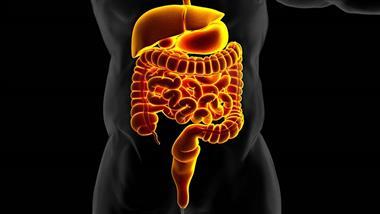gut-inflammation-and-insulin-resistance-thumbnail