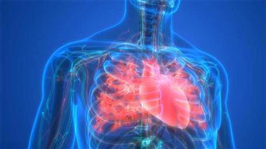 healthy-diet-metabolic-health-thumb