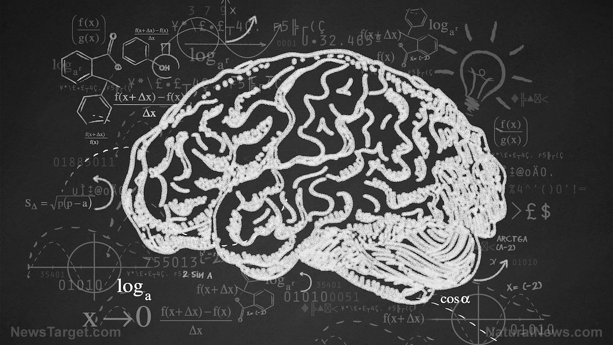 Chalkboard-Brain-Math-Equation-Science