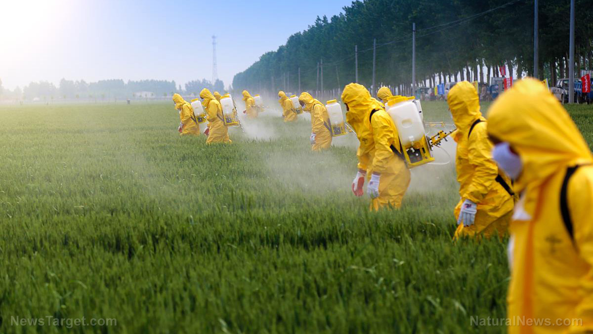 Pesticide-Spray-Agriculture-Farm-Farmer-Fertilizer-Field Pesticide-Spray-Agriculture-Farm-Farmer-Fertilizer-Field