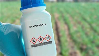 Glyphosate Exposure Linked to Rising Fatty Liver Disease