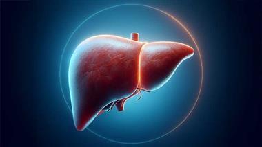 liver-healing-timeline-after-quitting-alcohol-thumbnail
