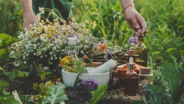power-of-dmso-and-botanical-combinations