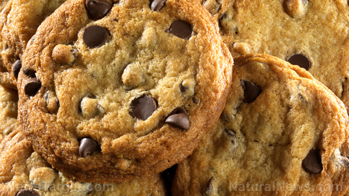 Chocolate-Chip-Cookies-Snack-Food-Junk Chocolate-Chip-Cookies-Snack-Food-Junk