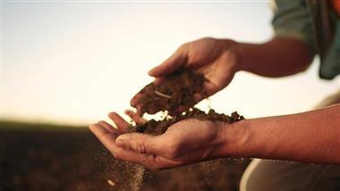 nutrient-depleted-soil-thumb nutrient-depleted-soil-thumb