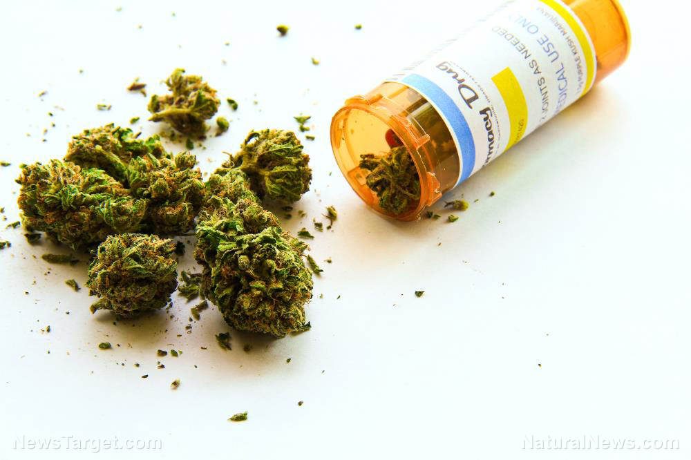 Marijuana-Medical-Marihuana-Cannabis-Prescription-Medicinal-Bottle