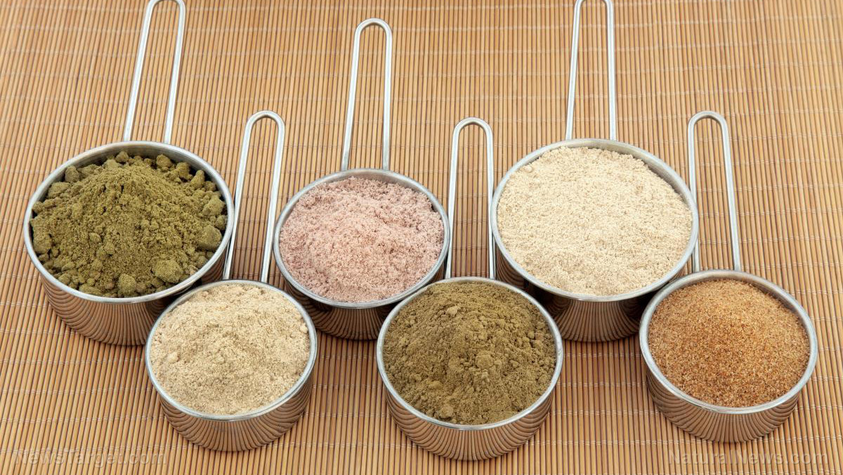 Protein-Supplement-Powders Protein-Supplement-Powders