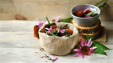 natural-herbs-for-flu-thumbnail natural-herbs-for-flu-thumbnail