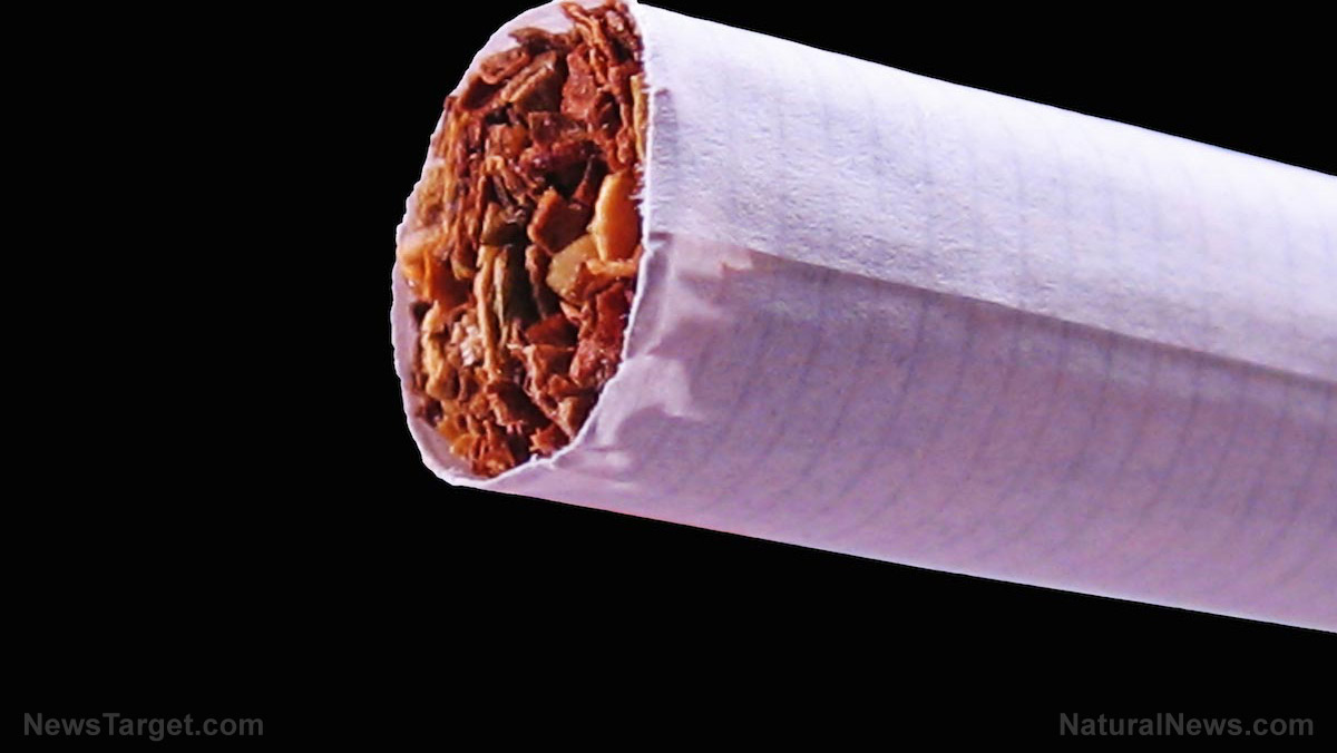Cigarette-Tobacco-Close-up