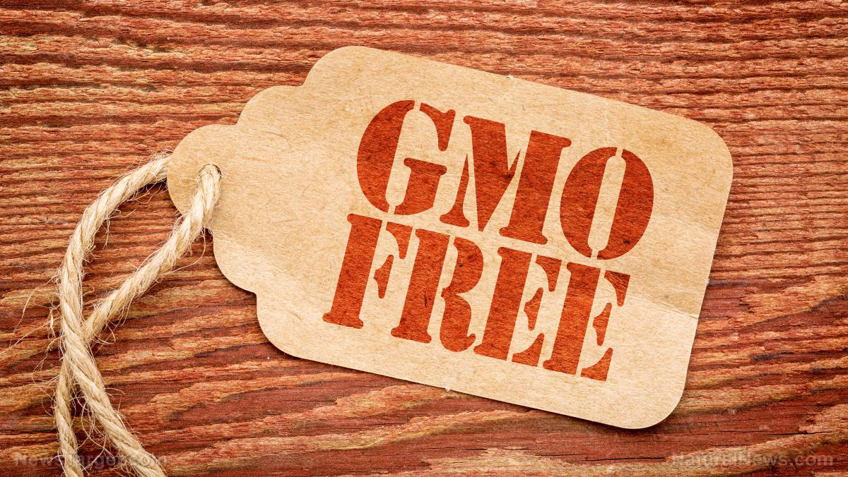 GMO-Free-Sales-Tag-Label