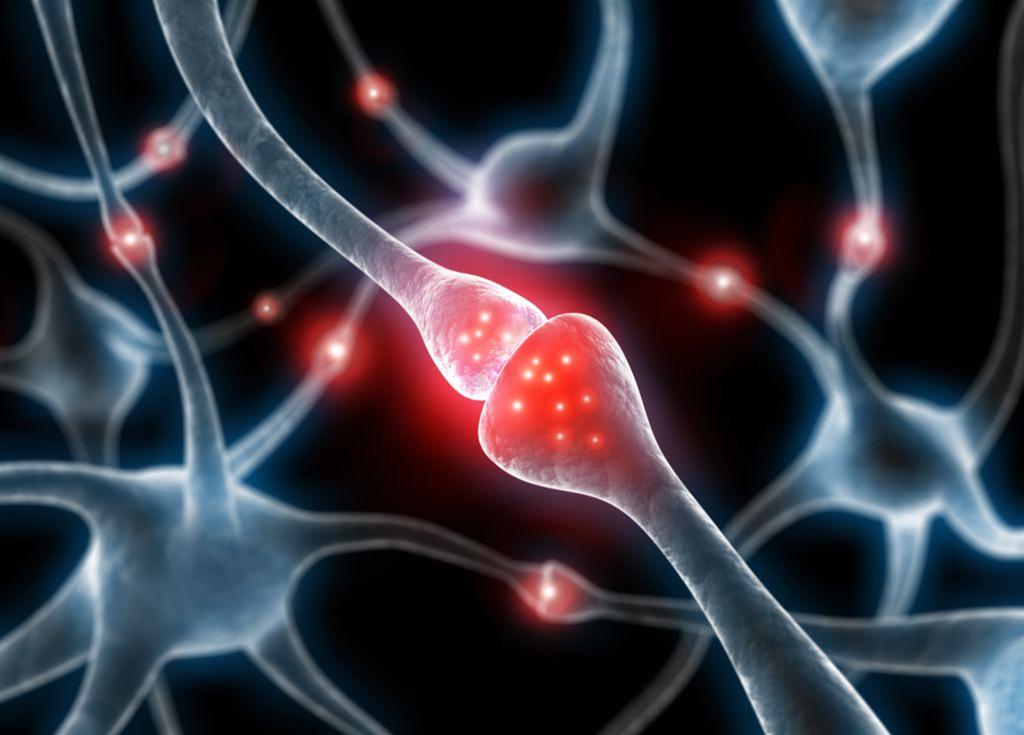 neuron neuron