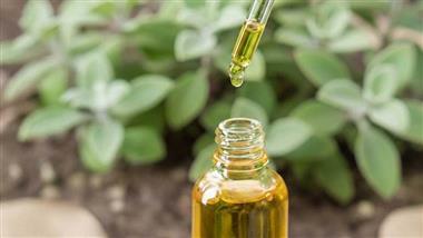 vicks-plant-essential-oil-compounds-thumb