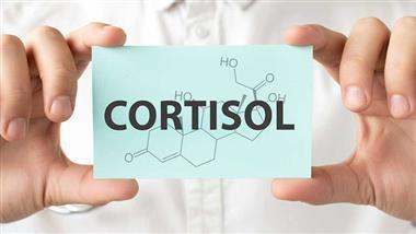role-of-cortisol-in-alzheimers